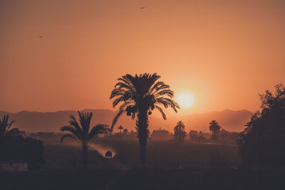 Scenic view of landscape at sunset