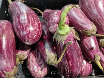 Close-up of vegetables for sale