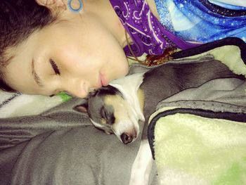 Dog sleeping on bed