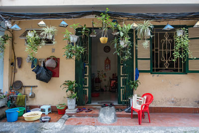 Potted plants on table outside house