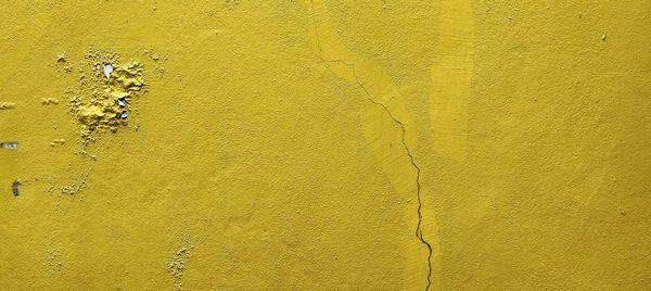 Yellow  grunge concrete wall texture with cracked.