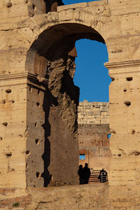 Views of roman coliseum, roman colosseum, rome, lazio. italy