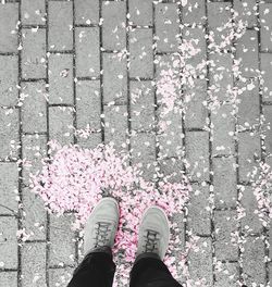 Low section of person standing over petals on footpath