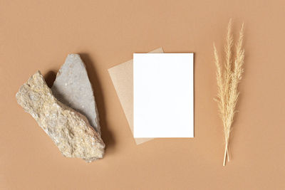 Blank invitation mockup. dry pampas on beige background. top view. modern minimal paper mock up. 