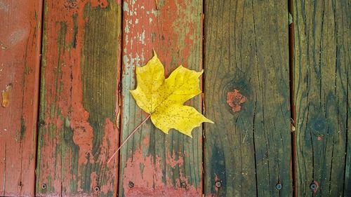 Full frame shot of wooden wooden wall