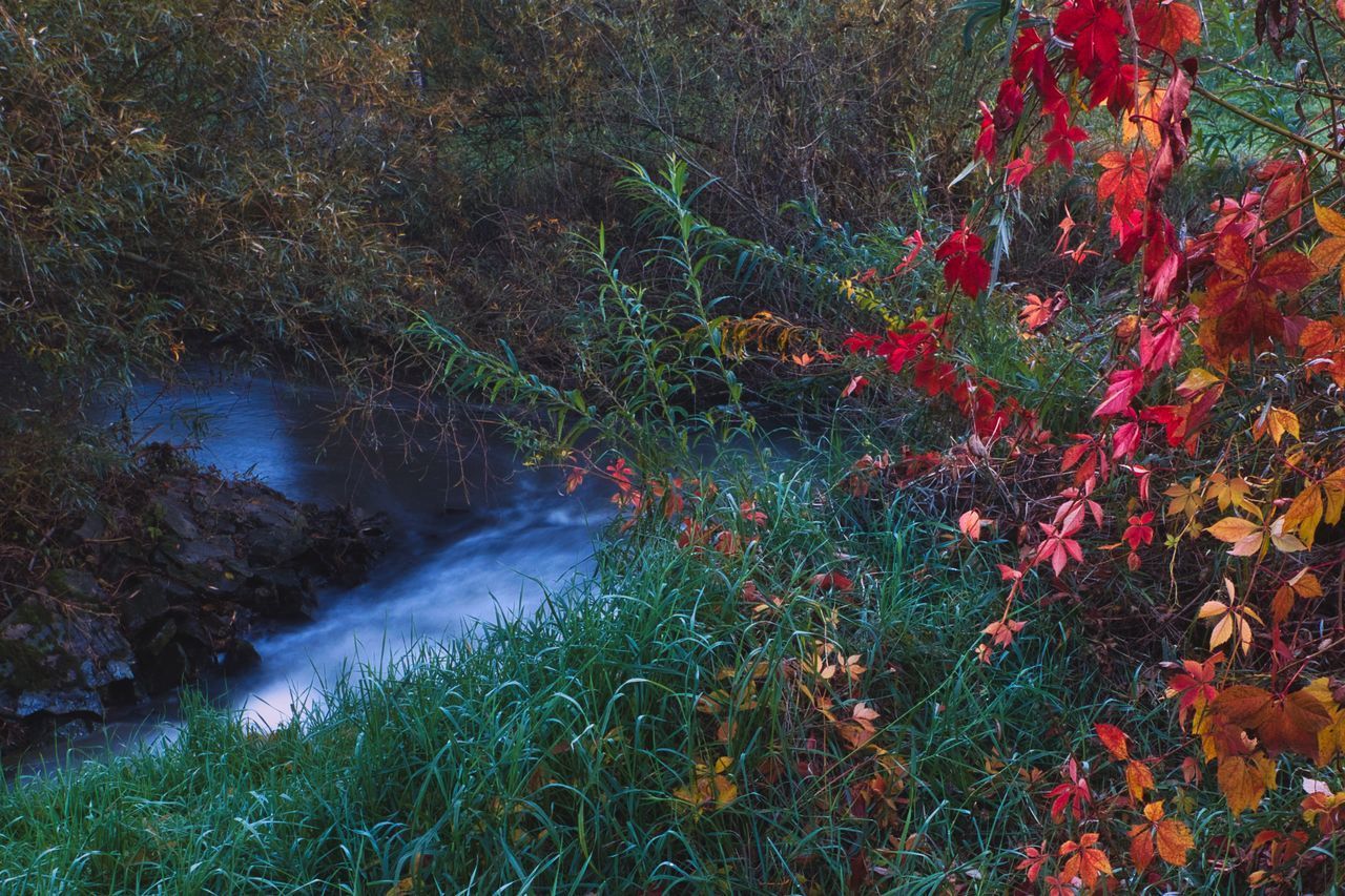 SCENIC VIEW OF WATERFALL