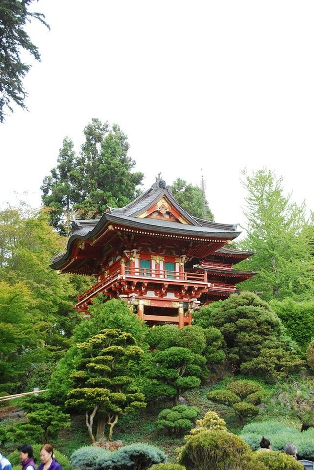 place of worship, religion, architecture, built structure, temple - building, spirituality, building exterior, tree, temple, clear sky, famous place, cultures, tradition, travel destinations, history, green color, tourism, travel, culture