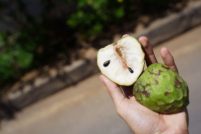 Close-up of hand holding fruit
