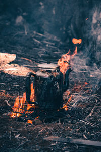 Bonfire on wooden log