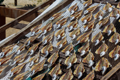 High angle view of fish drying at sun at beach against sky
