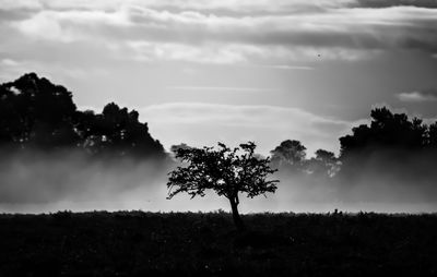 Silhouette trees on landscape against sky during foggy weather