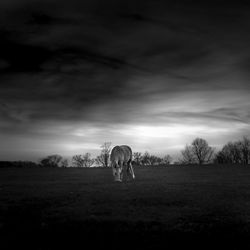 Scenic view of grassy field against cloudy sky