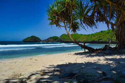 Scenic view of sea against clear blue sky