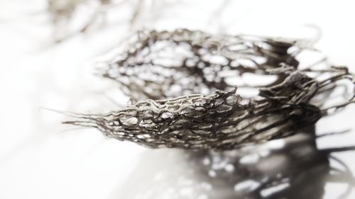 High angle view of dry leaf on table