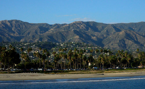 Trees at beach by mountains against sky