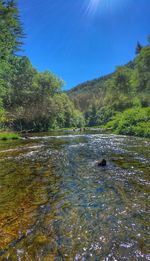 Scenic view of river and mountains against sky