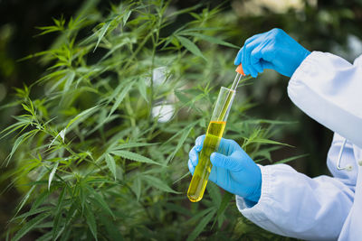 Midsection of scientist examining chemical