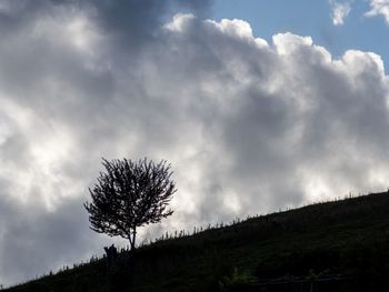 Low angle view of silhouette tree against sky