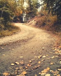 Road passing through forest