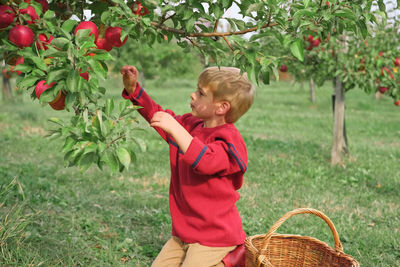 Side view of young woman holding basket