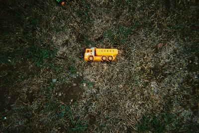 High angle view of toy car on field