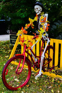 Bicycle sculpture in park