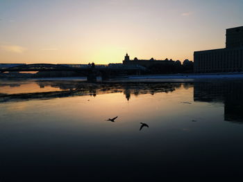 Silhouette of birds flying over river