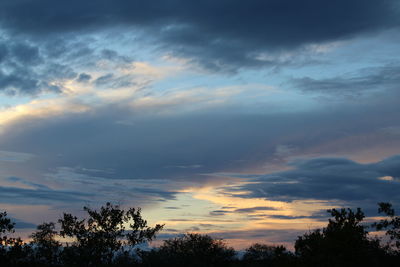Low angle view of trees against sky during sunset