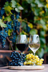 Close-up of wineglass on table