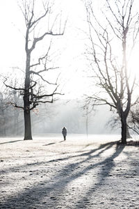 Rear view of man walking on snow covered road