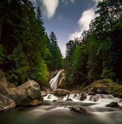 Scenic view of waterfall in forest against sky