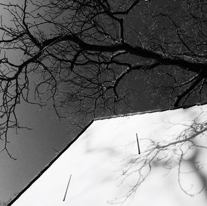 Low angle view of bare tree against sky