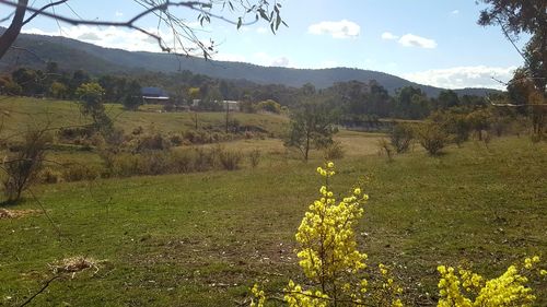 Scenic view of field and mountains against sky