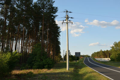 Scenic view of trees against sky in forest
