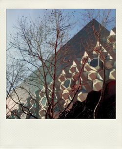 Low angle view of bare trees