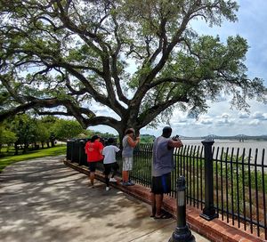 People walking on railing against trees