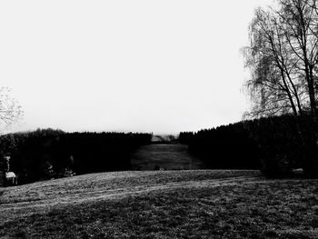 Scenic view of field against clear sky