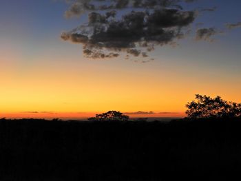 Silhouette trees on field against sky during sunset