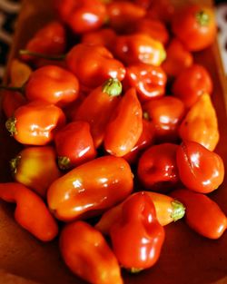 Full frame shot of tomatoes