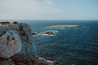 Dog on rock by sea against sky