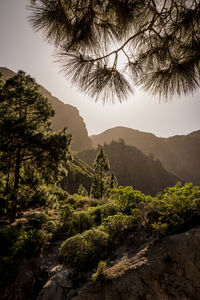 nature