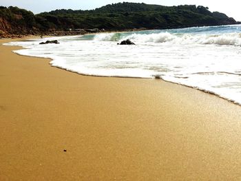 Scenic view of beach