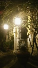 Illuminated street light in park at night