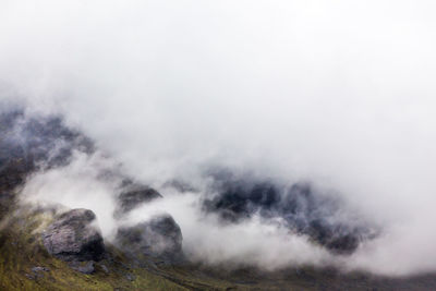 Scenic view of foggy landscape