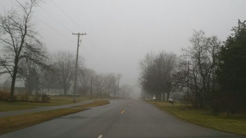 Country road along trees