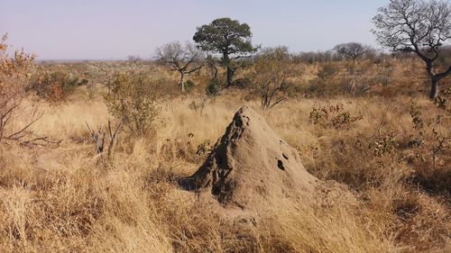 Panoramic shot of land against clear sky