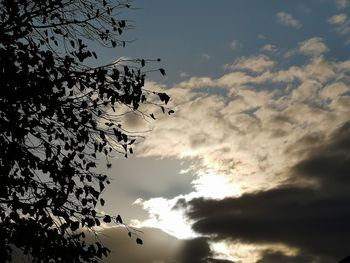 Low angle view of silhouette tree against sky