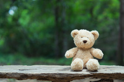 Teddy bear against trees on wood