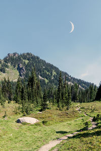 Scenic view of land against clear sky