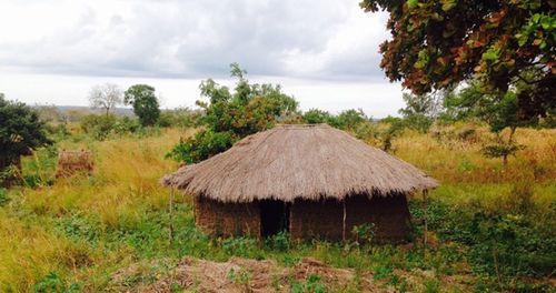 Hut on landscape against sky